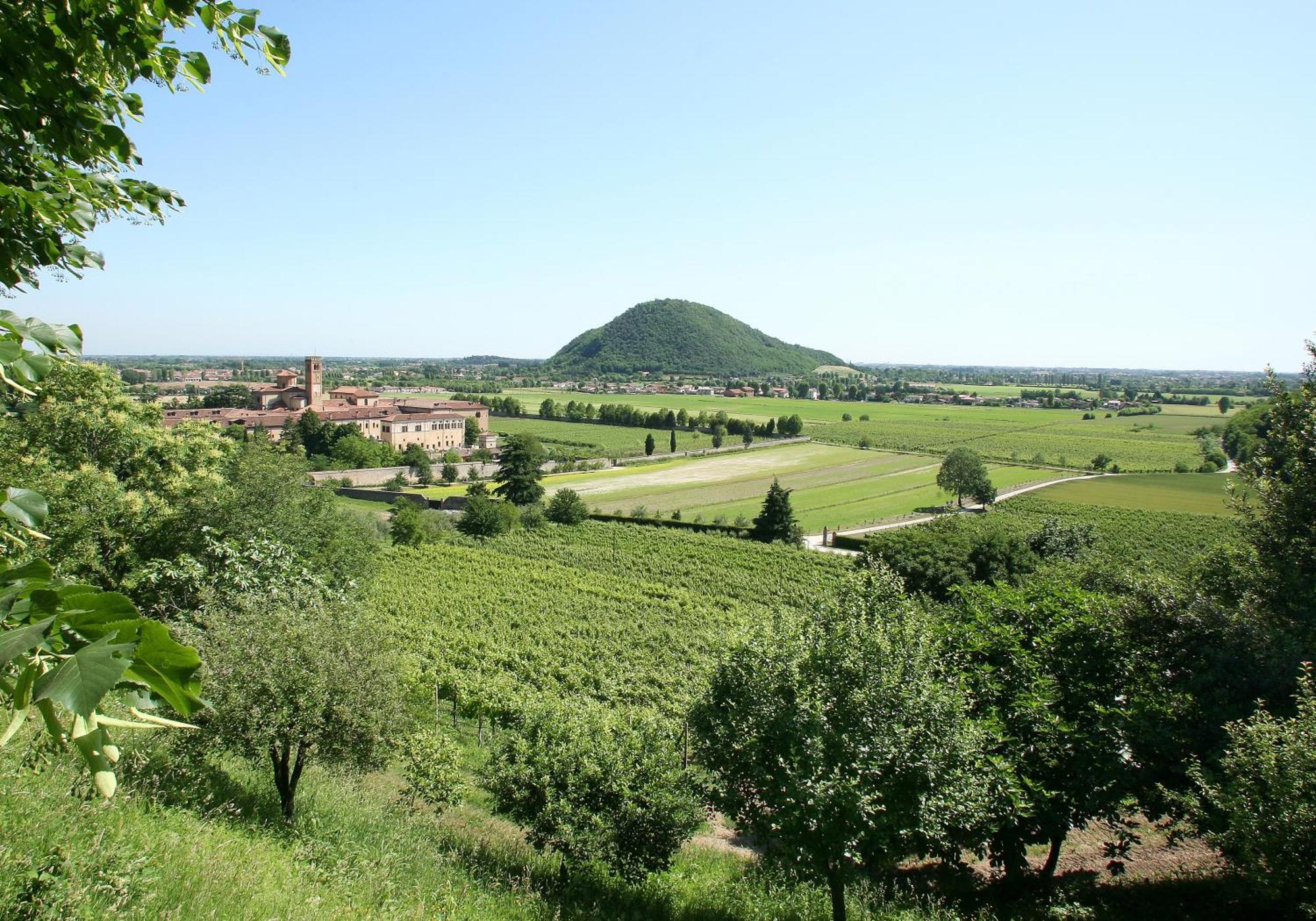 Hotel Terme Orvieto Abano Terme Eksteriør billede