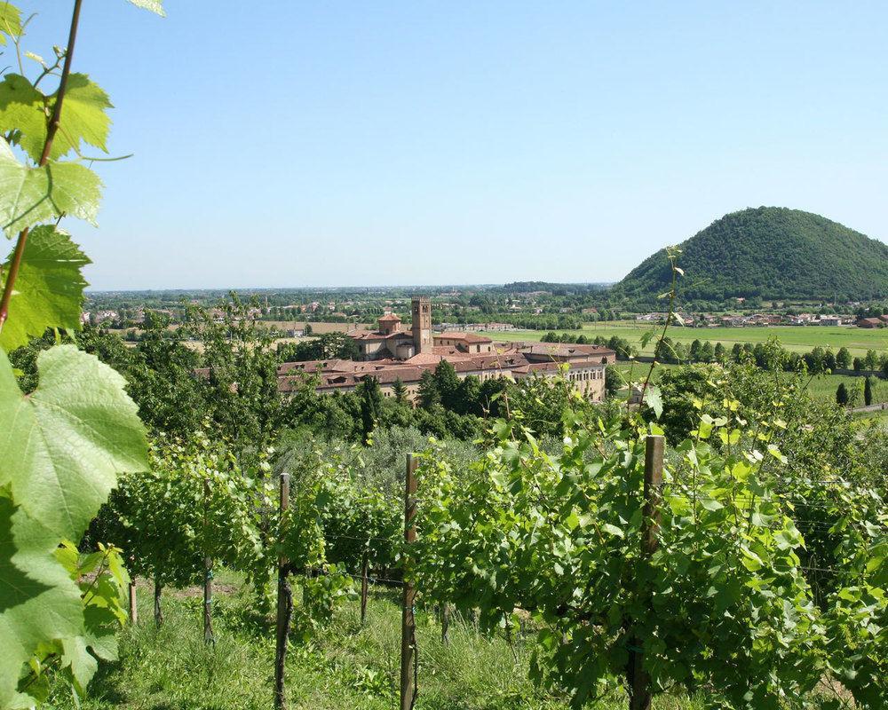 Hotel Terme Orvieto Abano Terme Eksteriør billede